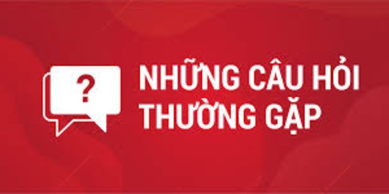 Những câu hỏi thường gặp