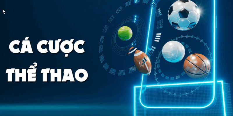 Cược thể thao là gì