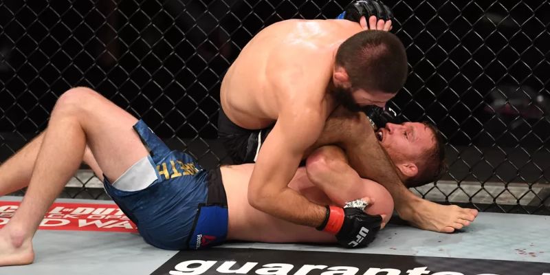 Cách soi kèo UFC hiệu quả